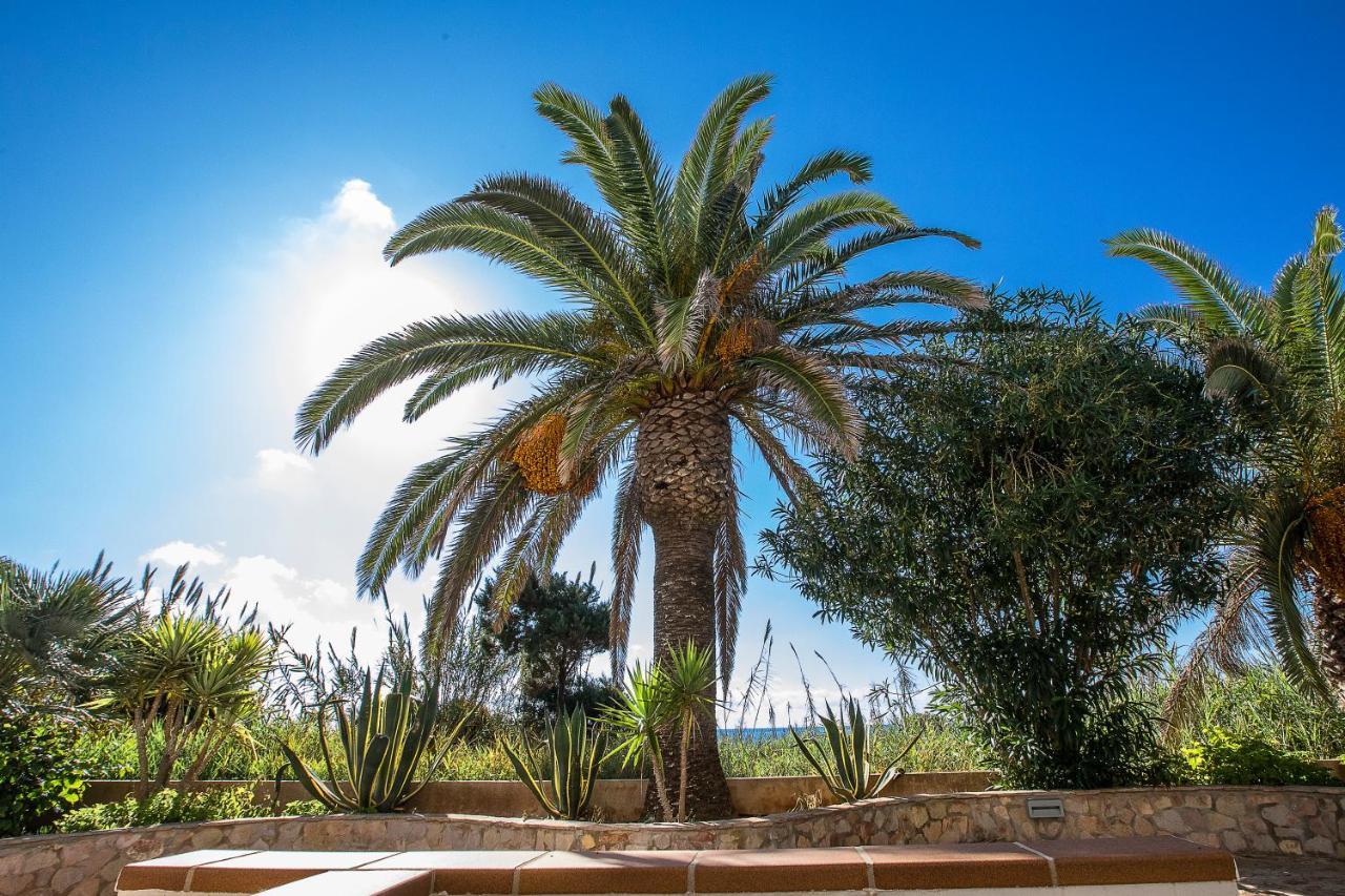 Sol Y Mar Hotel Playa Migjorn Exterior photo